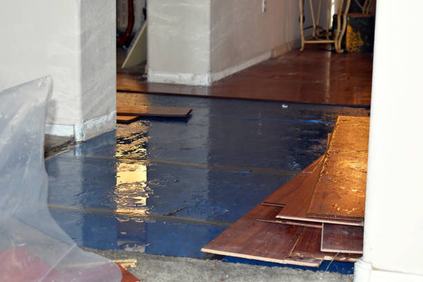 Professional Basement Flood Cleanup technician working in Yorkville, OH